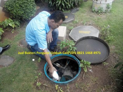 Dimana Jual Bakteri Pengurai Aerob Murah