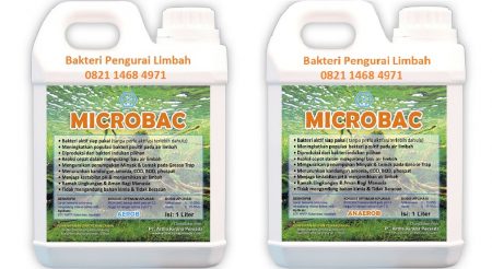 Dimana Jual Bakteri Probiotik Pengurai Limbah Murah di Palembang