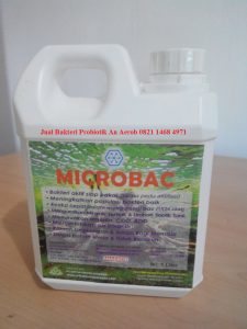 Bakteri Probiotik Anaerob