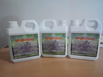 Dimana Tempat Jual Bakteri Starter Ipal Anaerob Pengurai Limbah Murah di Semarang Jawa Tengah